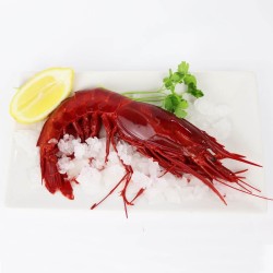 Gamba carrabiner