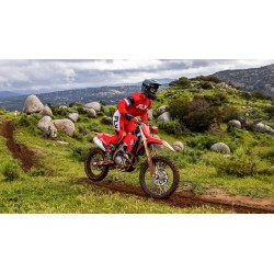 Honda CRF450RX