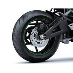 Pneumàtics Pirelli Diablo Rosso IV (Esportius)