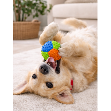 Joguina de goma “Ball de Diversió”