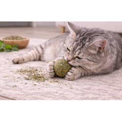 Bola amb catnip “HappyWhiskers”