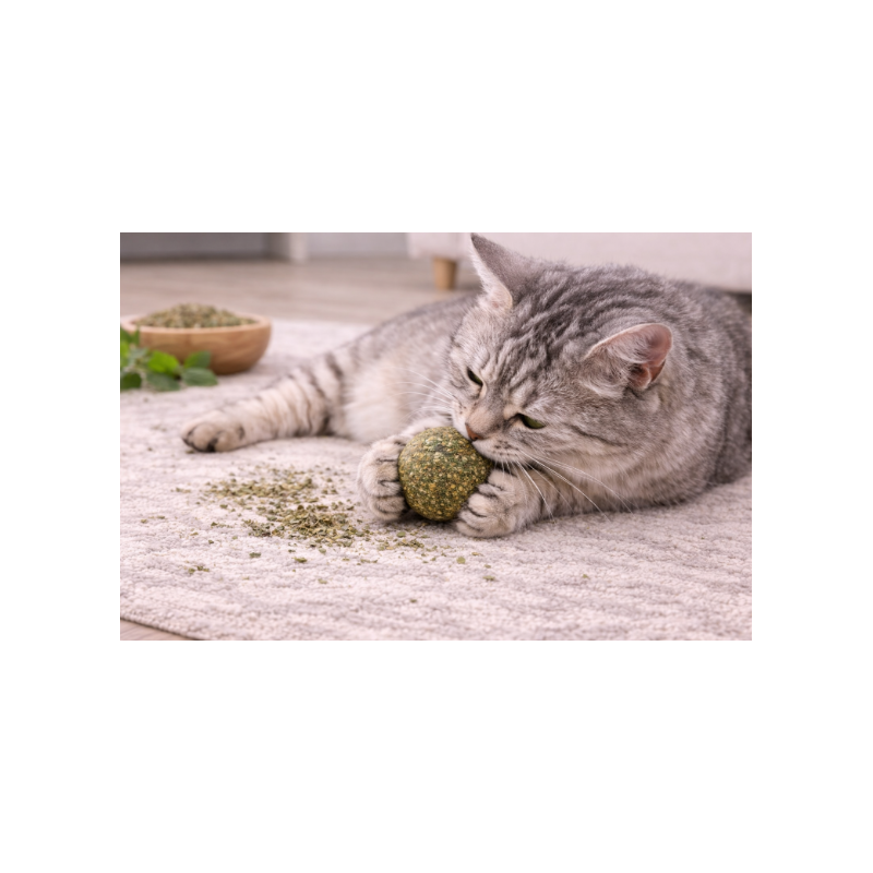 Bola con catnip “HappyWhiskers”