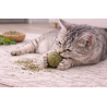 Bola amb catnip “HappyWhiskers”