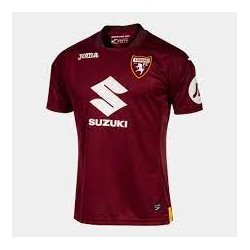 Camiseta Torino 23/24