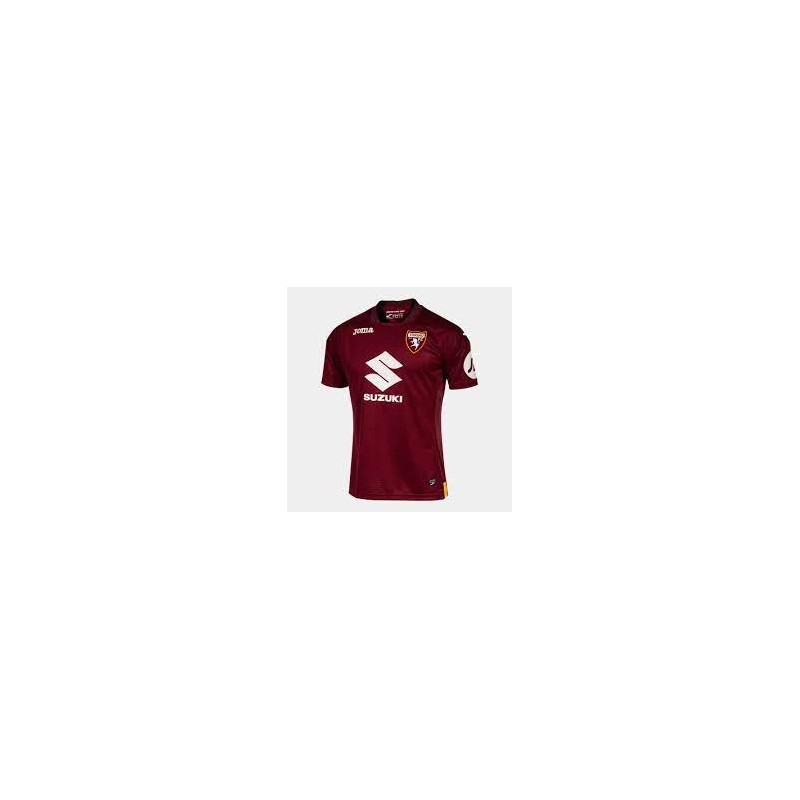 Camiseta Torino 23/24