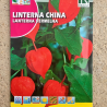 Llinterna china