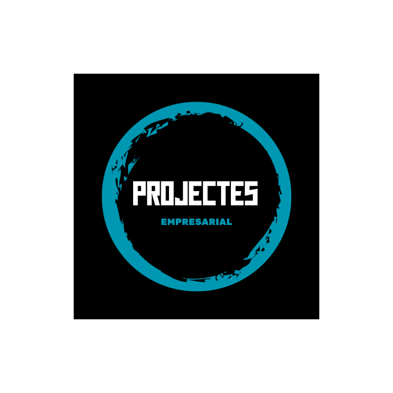 Projectes (Empresarial)