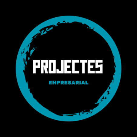 Projectes (Empresarial)